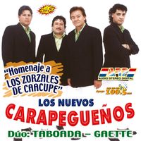 Los Nuevos Carapegueños - Homenaje a los Zorzales de Caacupé, Vol. 8