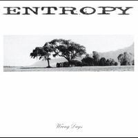 Entropy - Wrong Days
