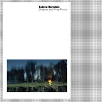 Andrew Bernstein - Shadows and Windy Places