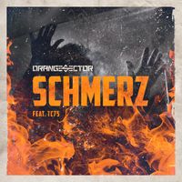 Orange Sector - Schmerz