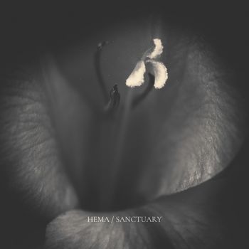 Hema - Sanctuary