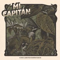 Mi Capitán - Como Ladrones Sorprendidos
