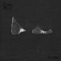 The Virginia Valley - No Futuro (Explicit)