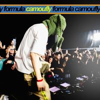 camoufly - formula