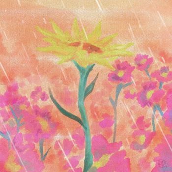 BELU - Lluvia de Verano