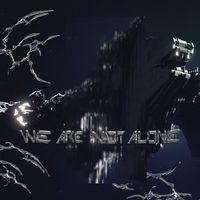 Ellen Allien - We Are Not Alone, Pt. 9 (Explicit)