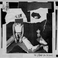 The Virginia Valley - No Futuro (& V-Sides)