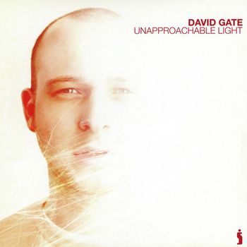 David Gate - Unapproachable Light