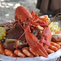 Seafood - Alive in Gettysburg