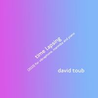 david toub - time lapsing