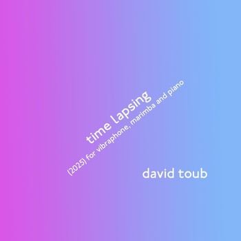 david toub - time lapsing