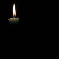 Wayne - A Thorny Path