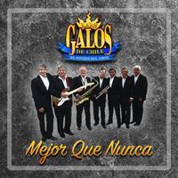 Los Galos - Mejor Que Nunca