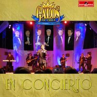 Los Galos - En Concierto (En Vivo)
