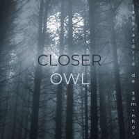 Closer - Owl