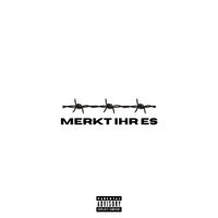 Toxic - Merkt Ihr Es? (Explicit)