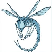 Dragonfly - Insecticide