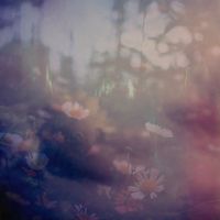 Lake Night - Dream Out