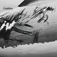 Tony Shape - Coalition
