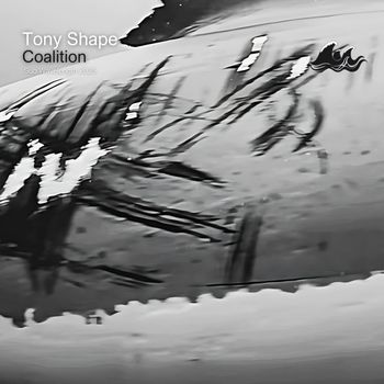 Tony Shape - Coalition