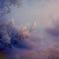 Lake Night - Through The Skylight