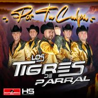 Los Tigres de Parral - Por Tu Culpa
