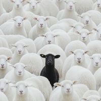 Midnite - iNO (Explicit)