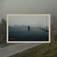 Corina - Night trip