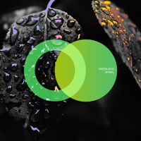 Greenjack - Spiral