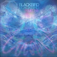 Blackbird Blackbird - Waves