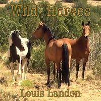 Louis Landon - Wild Horses