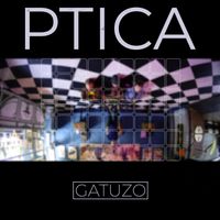 Gatuzo - Ptica