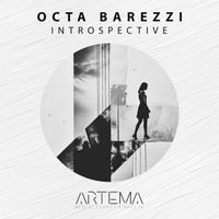 Octa Barezzi - Introspective