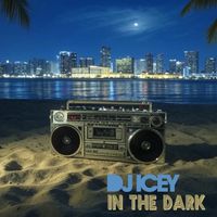 DJ Icey - In the Dark