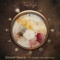 Tom Vaylo - Secret Spice