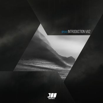 Various Artists - Introduction VA2