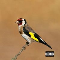 Trapani - EL PAJARERO (Explicit)