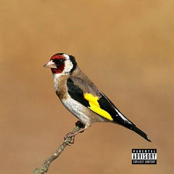 Trapani - EL PAJARERO (Explicit)