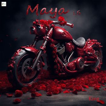 King - Maya 1.6 King