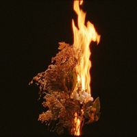 Gatibu - Agur Kapitaina