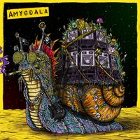 Amygdala - Mood (Explicit)
