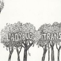 THE LADYBUG TRANSISTOR - Here Comes the Rain