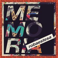 Roba Estesa - Memòria