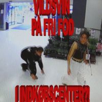 Tandem - vildsvin på fri fod i indkøbscenter (Explicit)