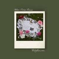 Wildflowers - White Picket Fences