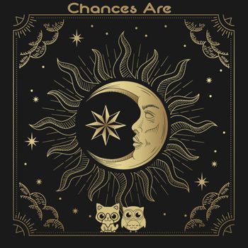The Cat and Owl - Chances Are