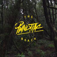 PWNDTIAC - The Beach