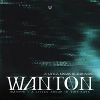 Wanton - A little break in this rave