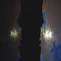 Bonny Maria Davison - Can Of Wormholes