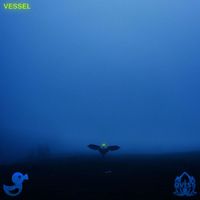QVEST - vessel